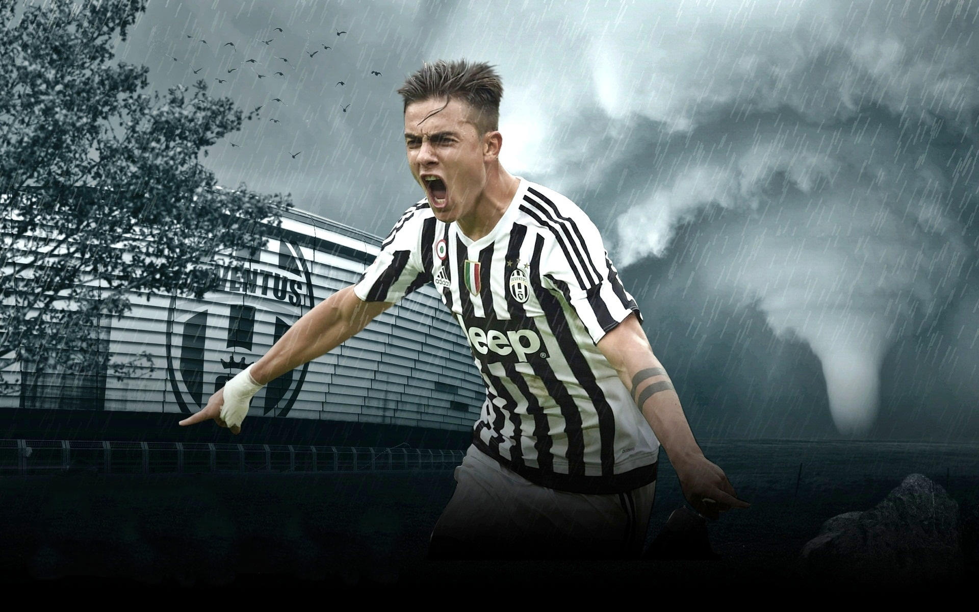 是一项复杂 是一项复杂